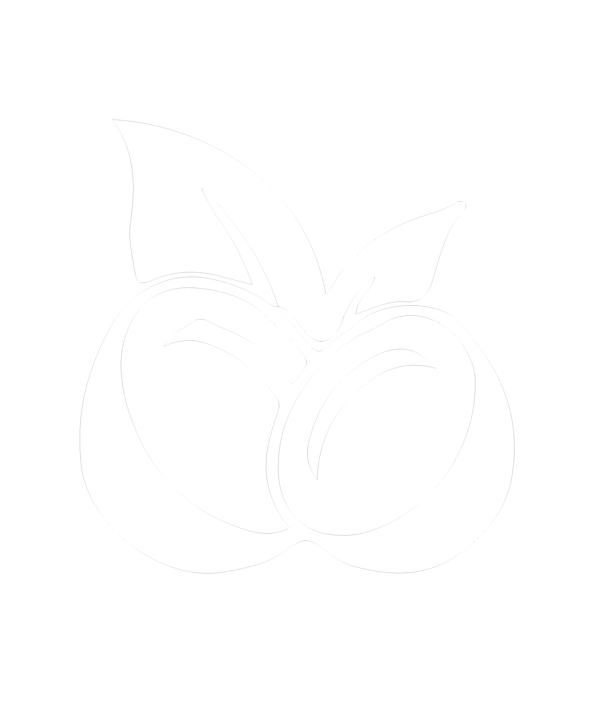 Coco logo