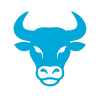 Vizbull logo